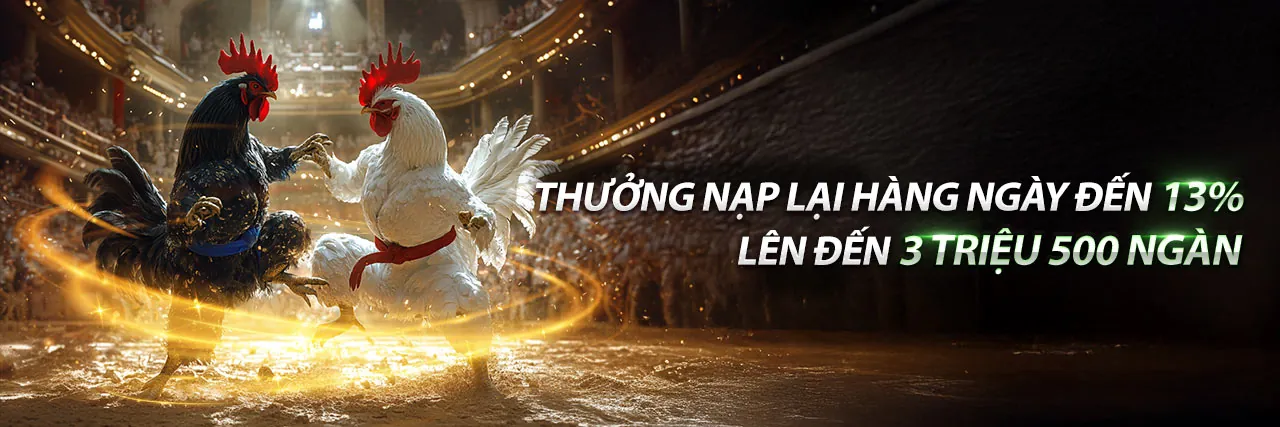 Sân vận động bóng đá sôi động tại 88club8 win